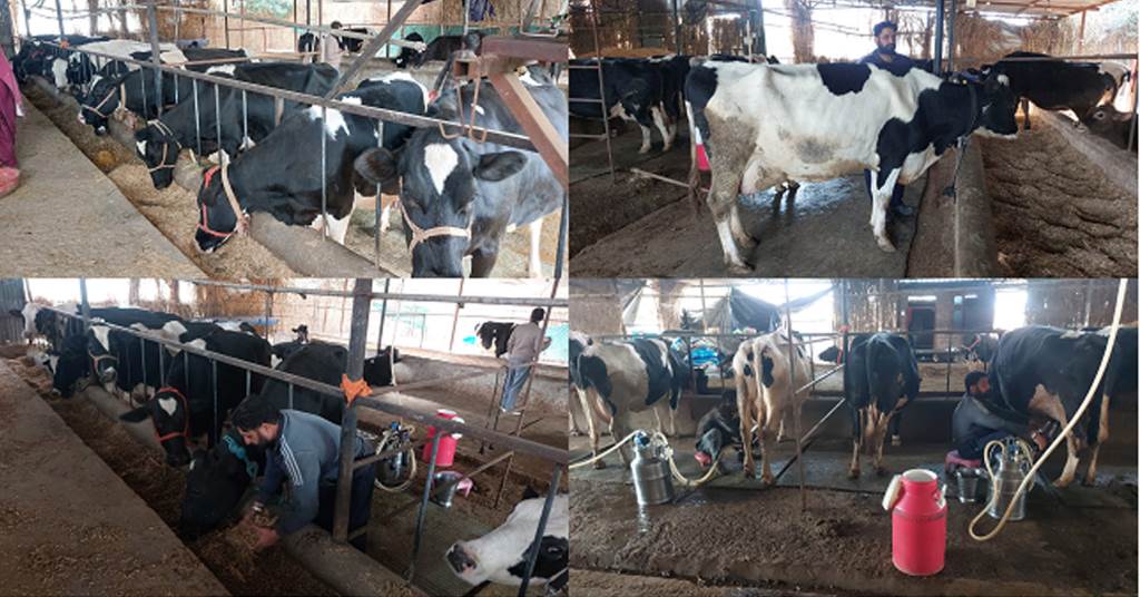 Jarnail Singh a dairy farmer from Thakran has become a strong example of the rural economy